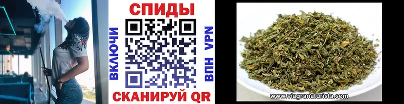 Бутират буратино  как найти   Светлый 